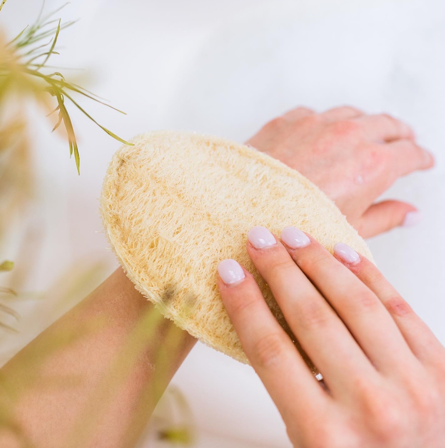
                  
                    Large Exfoliating Loofah
                  
                