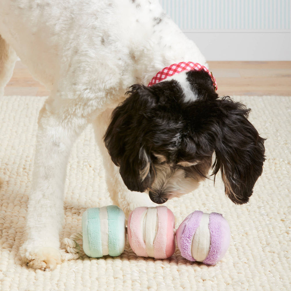 
                  
                    Macarons Interactive Snuffle Dog Toy
                  
                