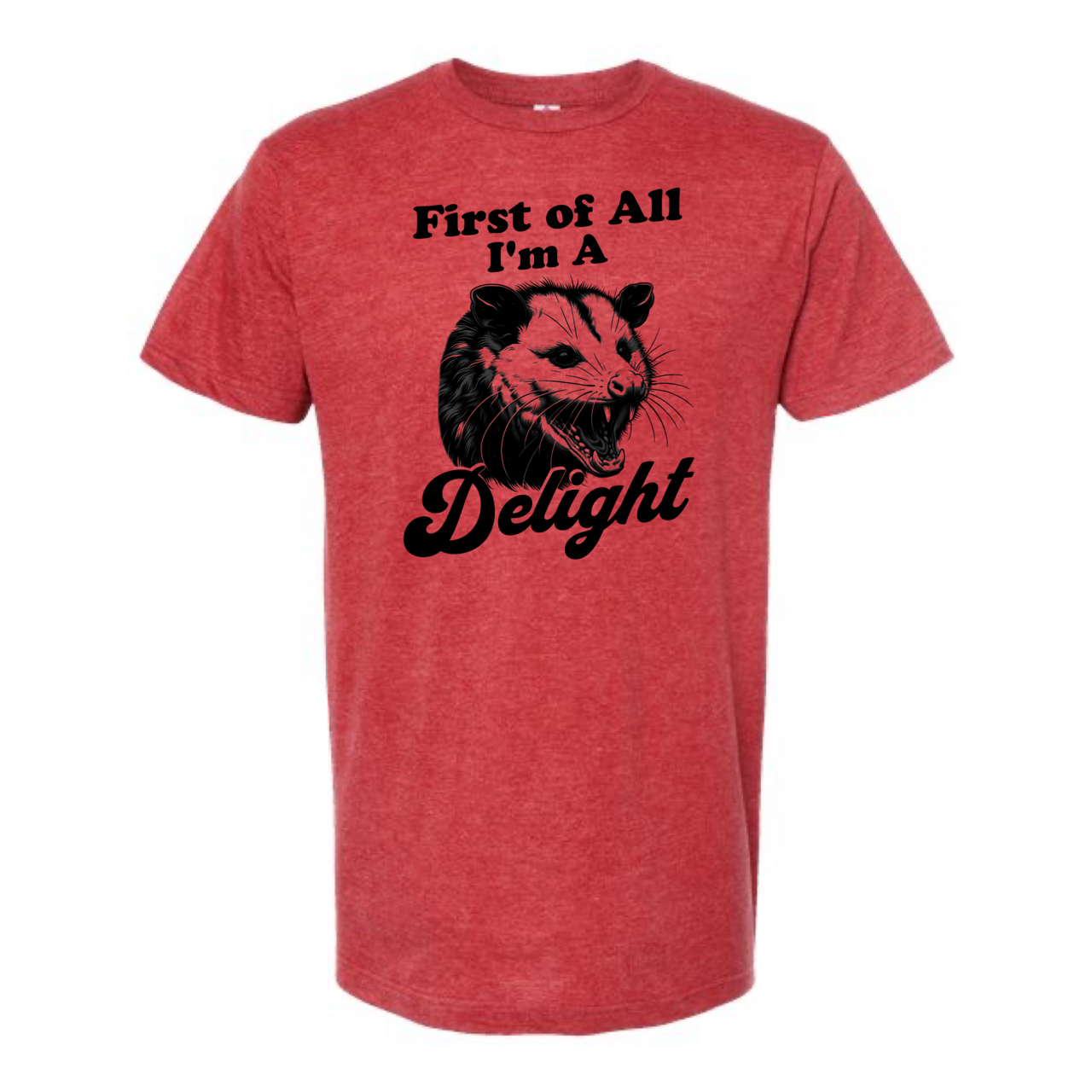 
                  
                    First Of All I'm a Delight Tee
                  
                
