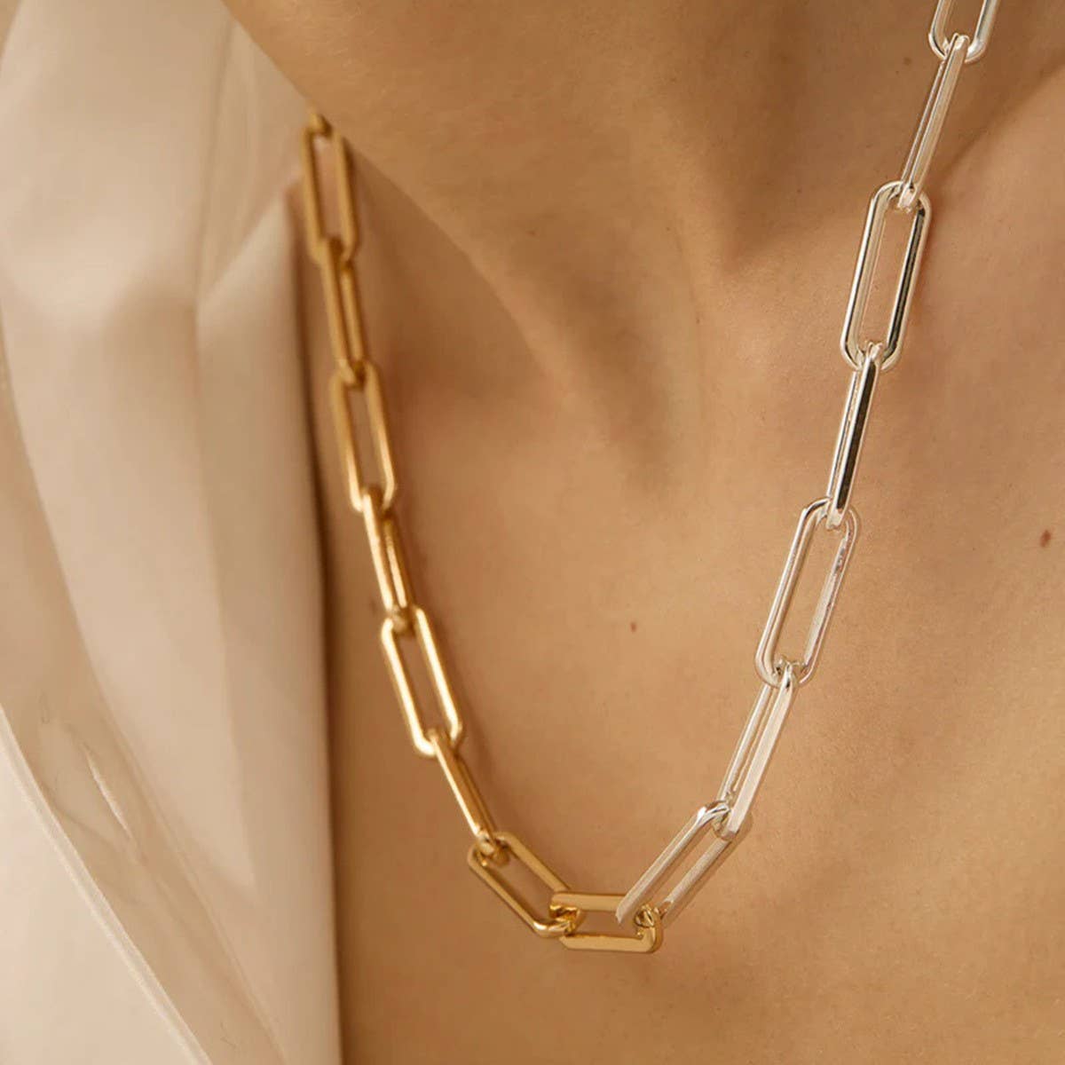 
                  
                    Two Tone Paperclip Necklace
                  
                