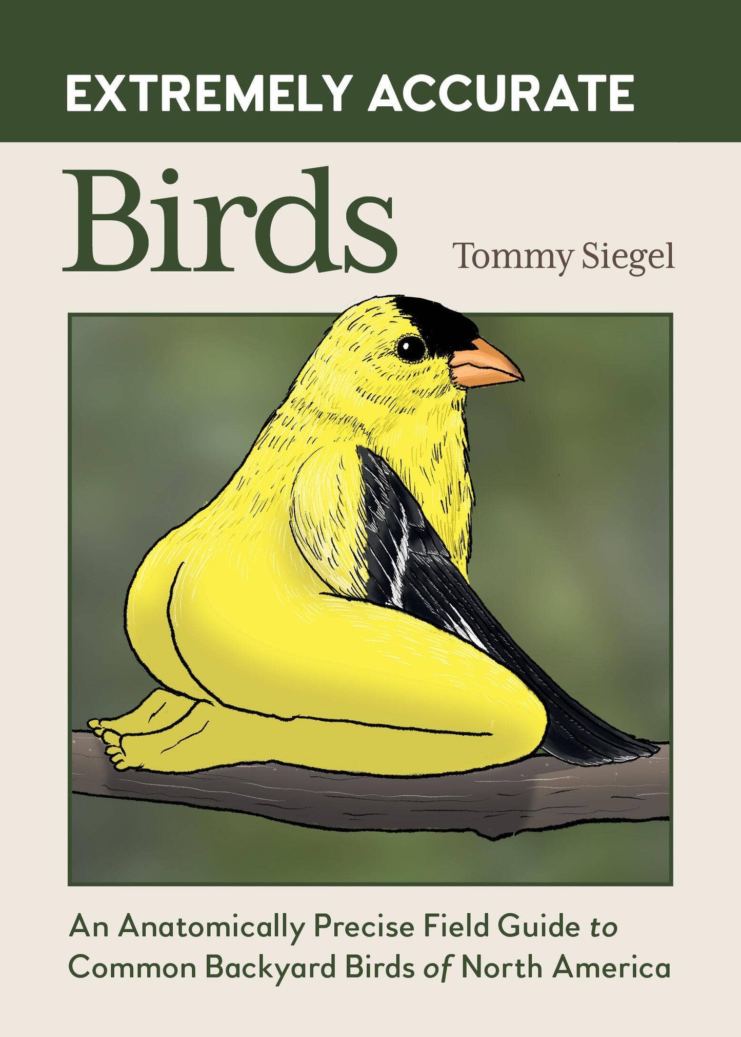 
                  
                    Extremely Accurate Birds by Tommy Siegel
                  
                