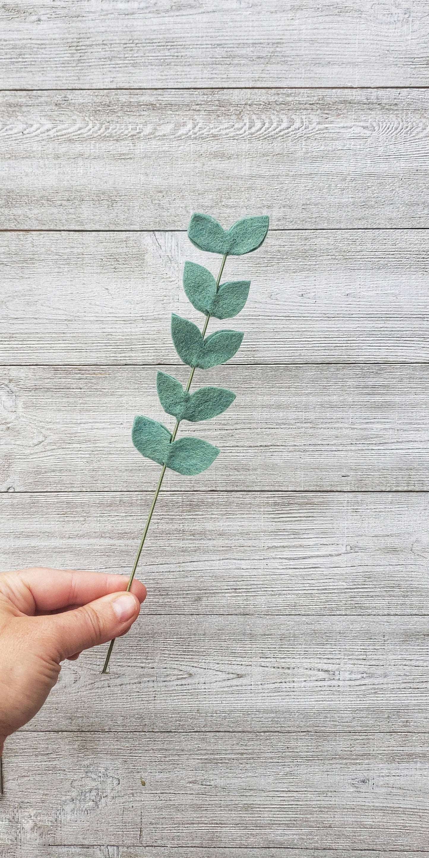 
                  
                    Felt Stem: Fern
                  
                