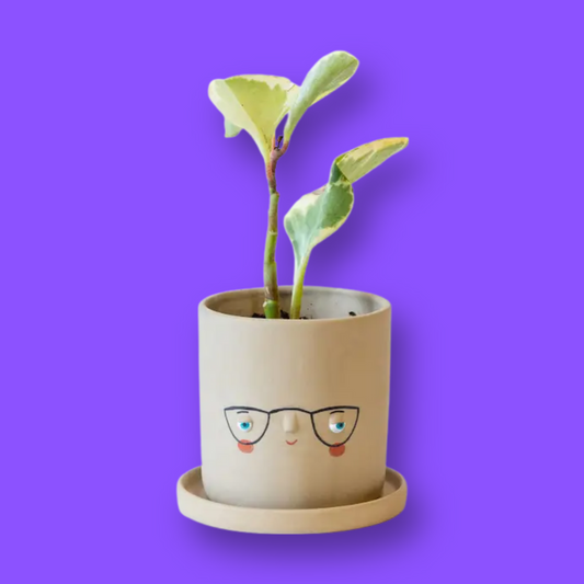 Faceplanter ceramic pot with glasses and rosy cheeks