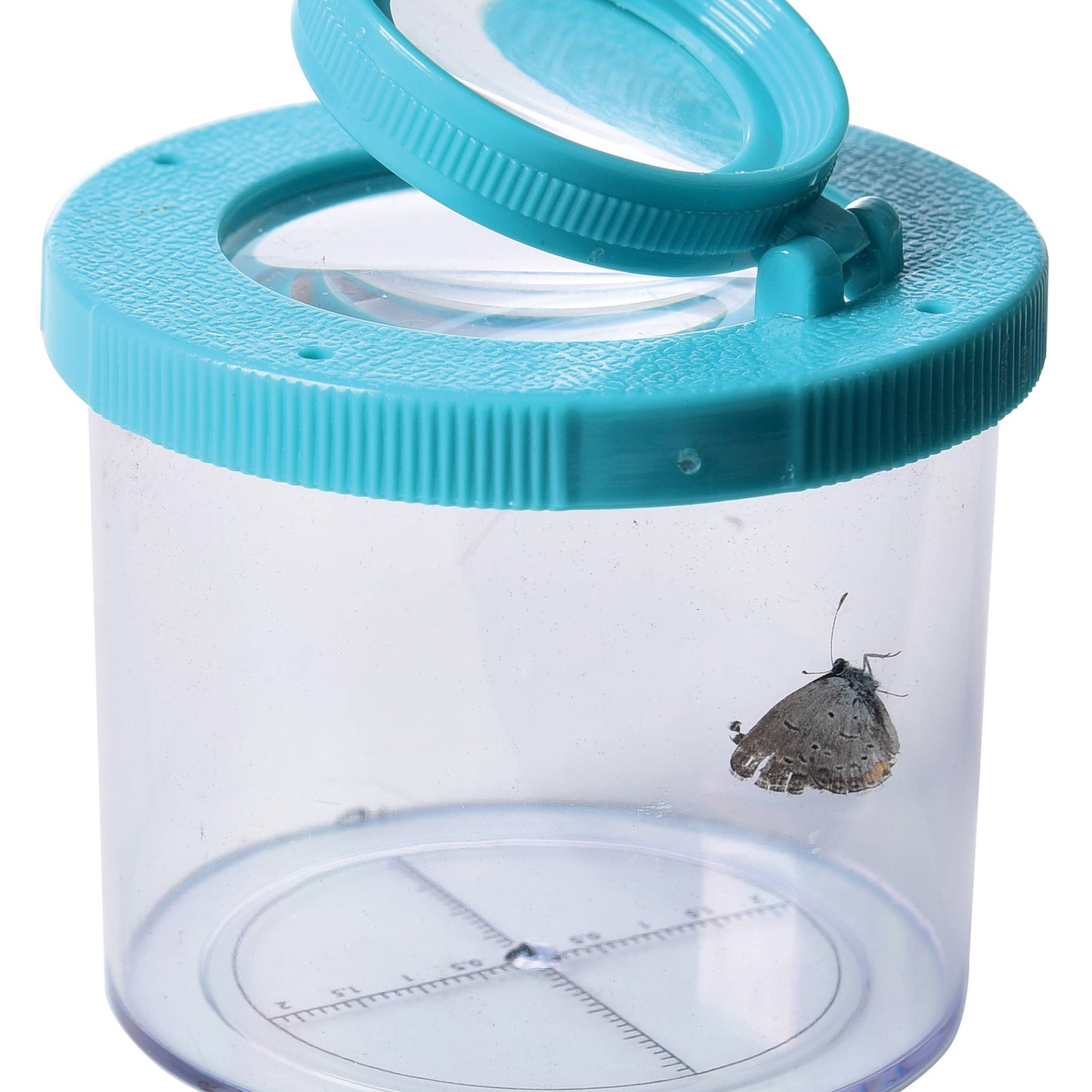 
                  
                    Bug Viewer Observation Jar
                  
                
