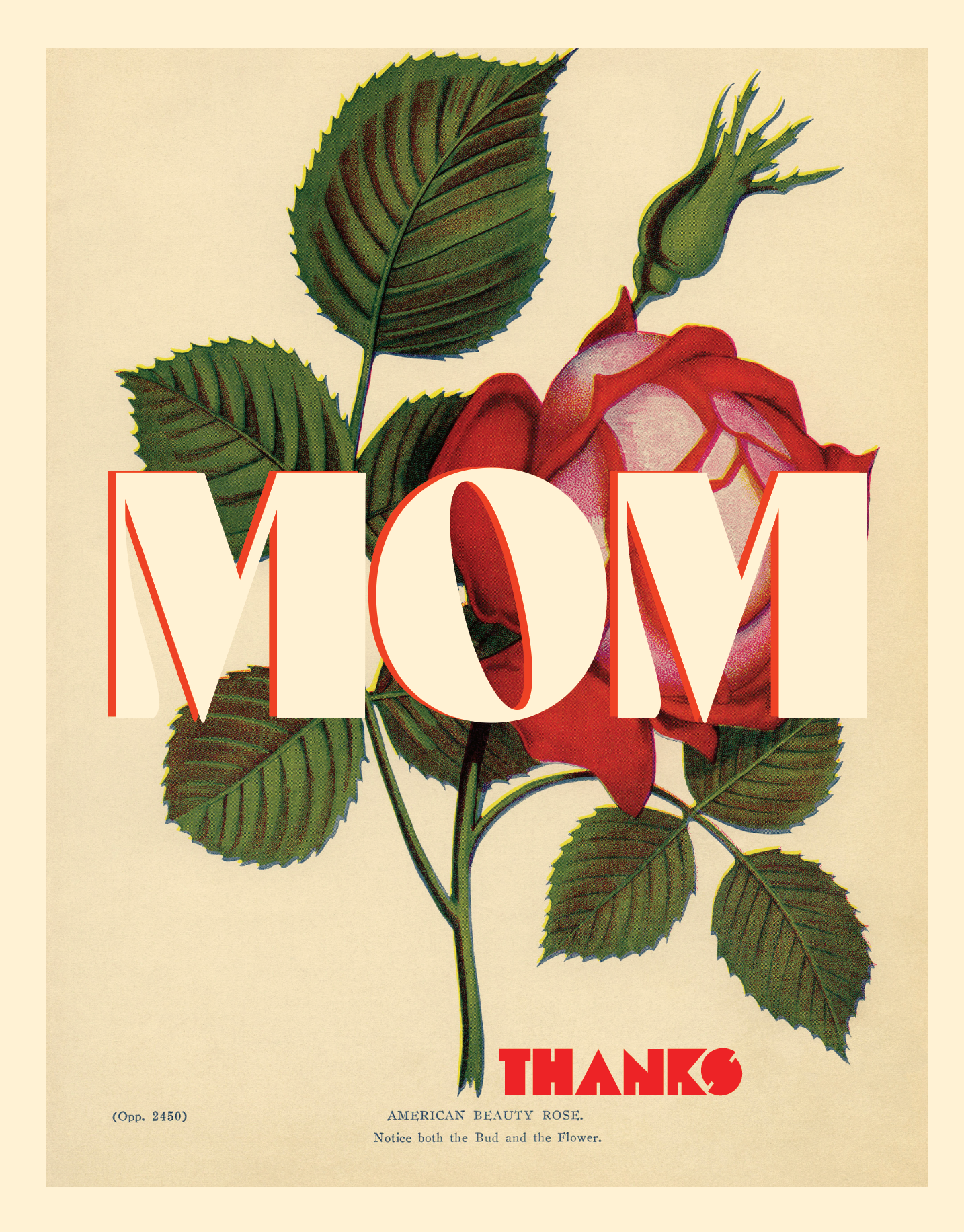 
                  
                    Mom Thanks Rose Greeting Card
                  
                