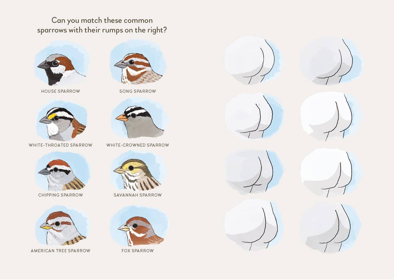 
                  
                    Extremely Accurate Birds by Tommy Siegel
                  
                