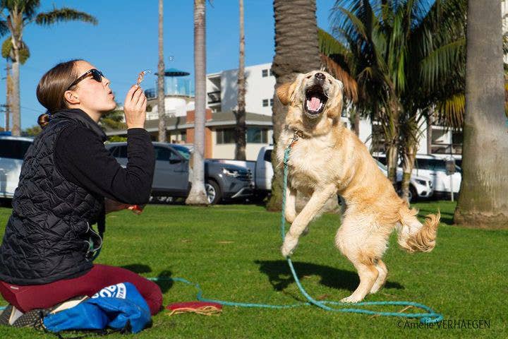 
                  
                    Edible Bubbles by BubbleLick™
                  
                