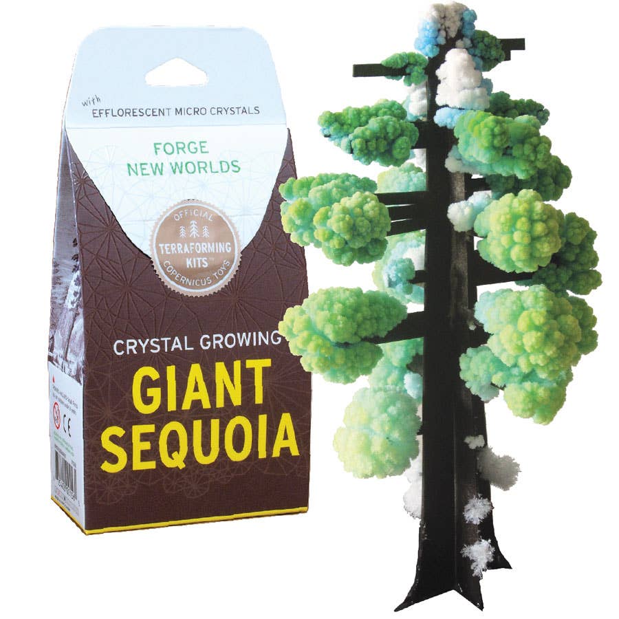 A crystal growing kit science project that grows crystal in the form of a giant sequoia tree