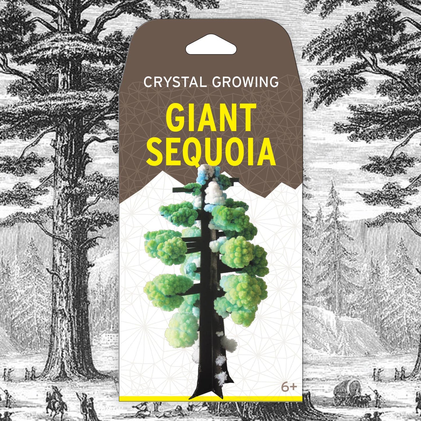 The packaging for a crystal growing science kit that makes a sequoia tree. Good for ages 6+.