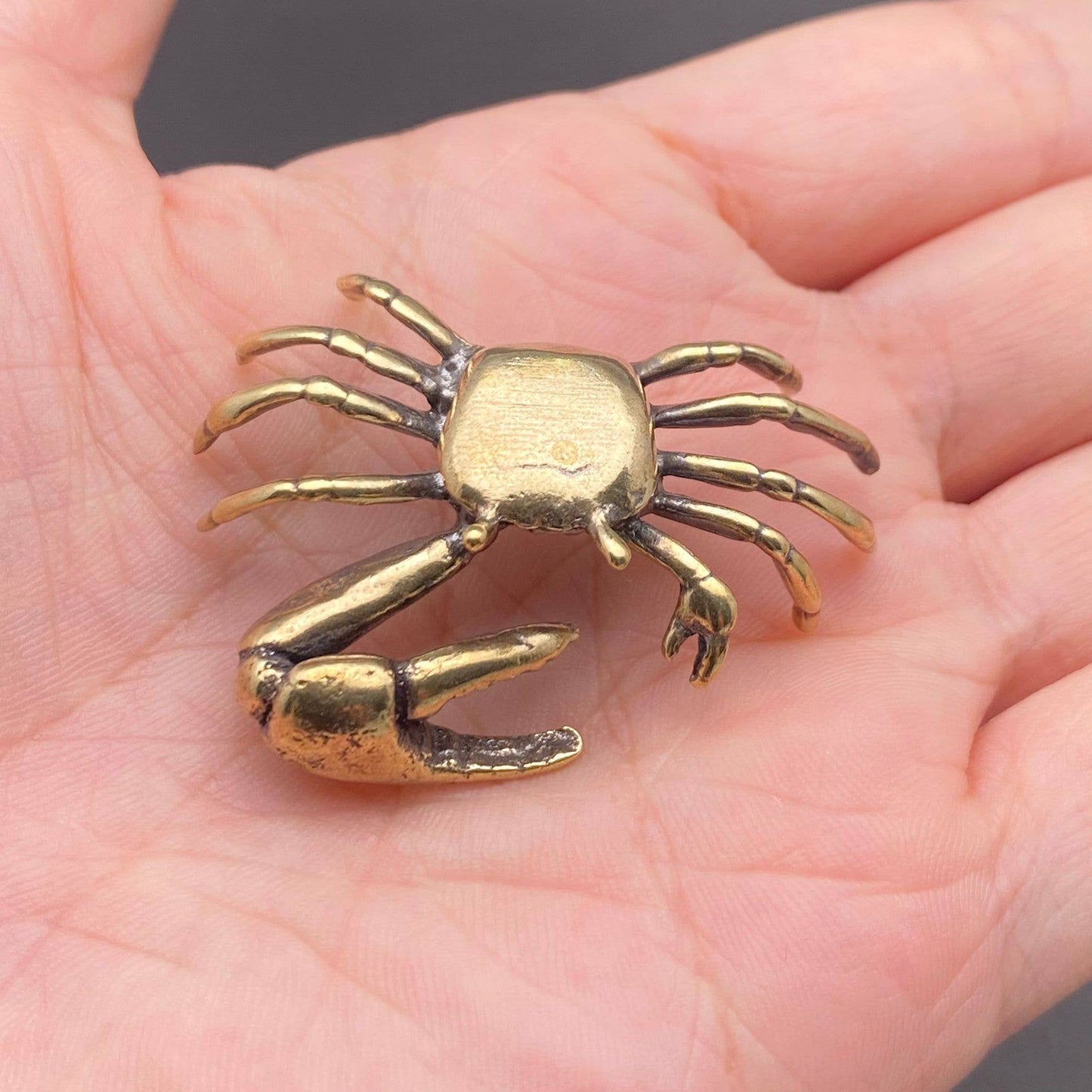 
                  
                    Mini Brass Critter Collection
                  
                