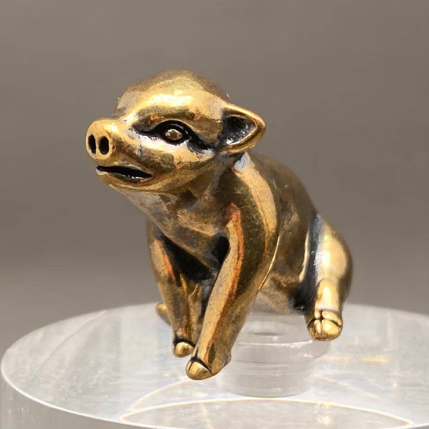 
                  
                    Mini Brass Critter Collection
                  
                