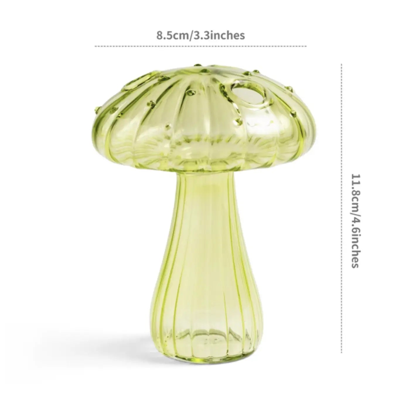 
                  
                    Size diagram of slim green mushroom hydroponic bud vase, 8.5 cm x 11.8 cm
                  
                