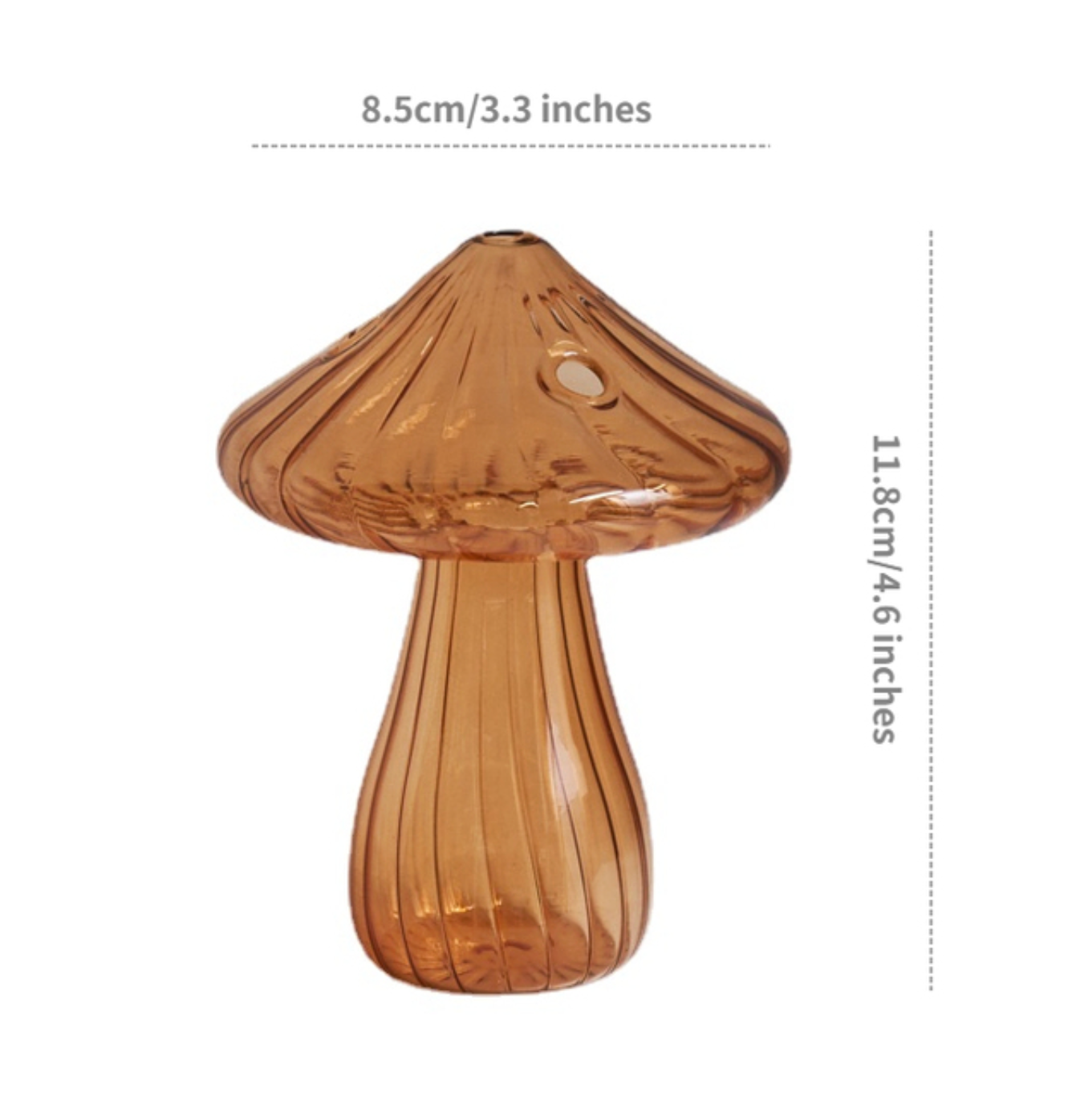 
                  
                    Size diagram of brown mushroom hydroponic bud vase, 8.5 cm x 11.8 cm
                  
                