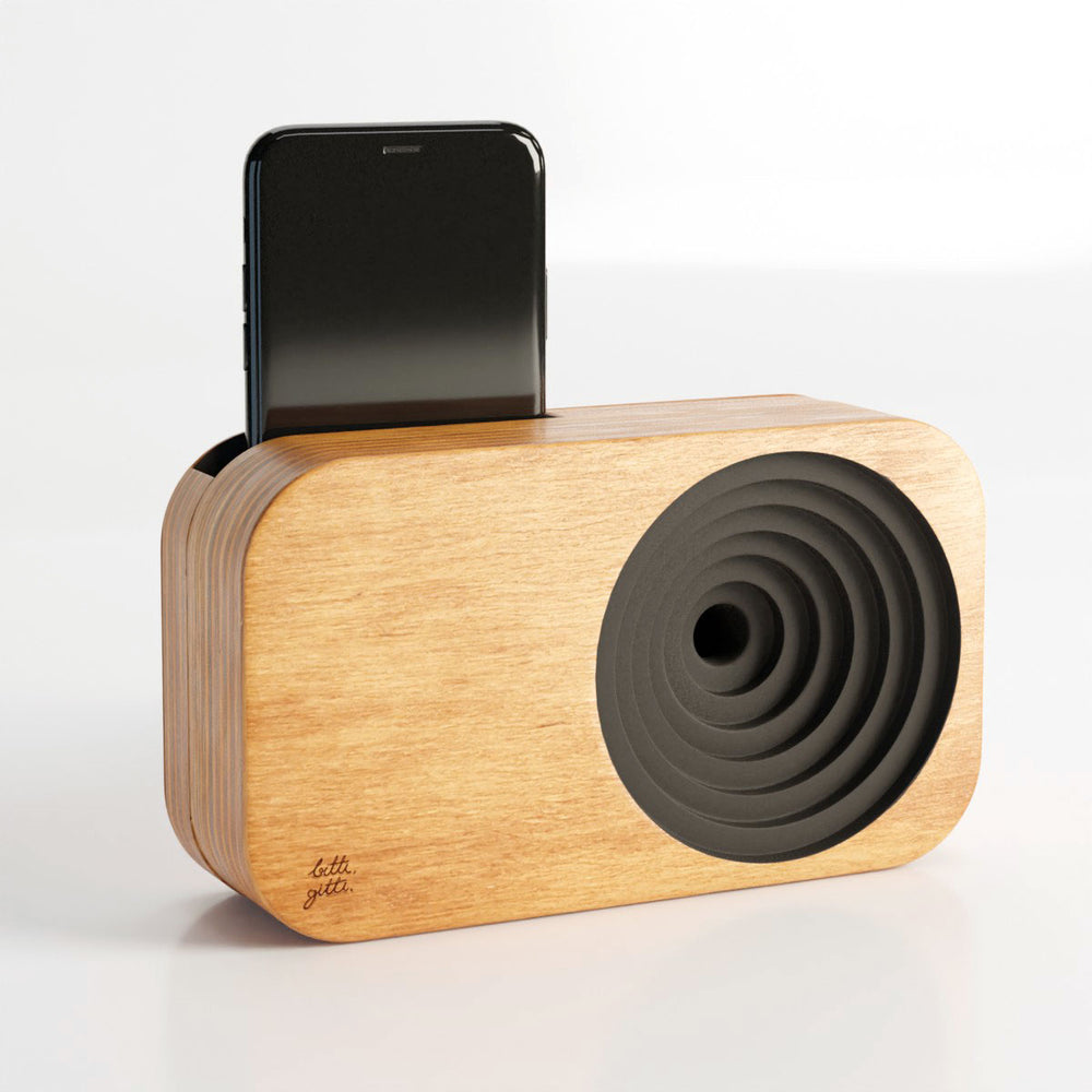 
                  
                    The Wooden Sound System
                  
                