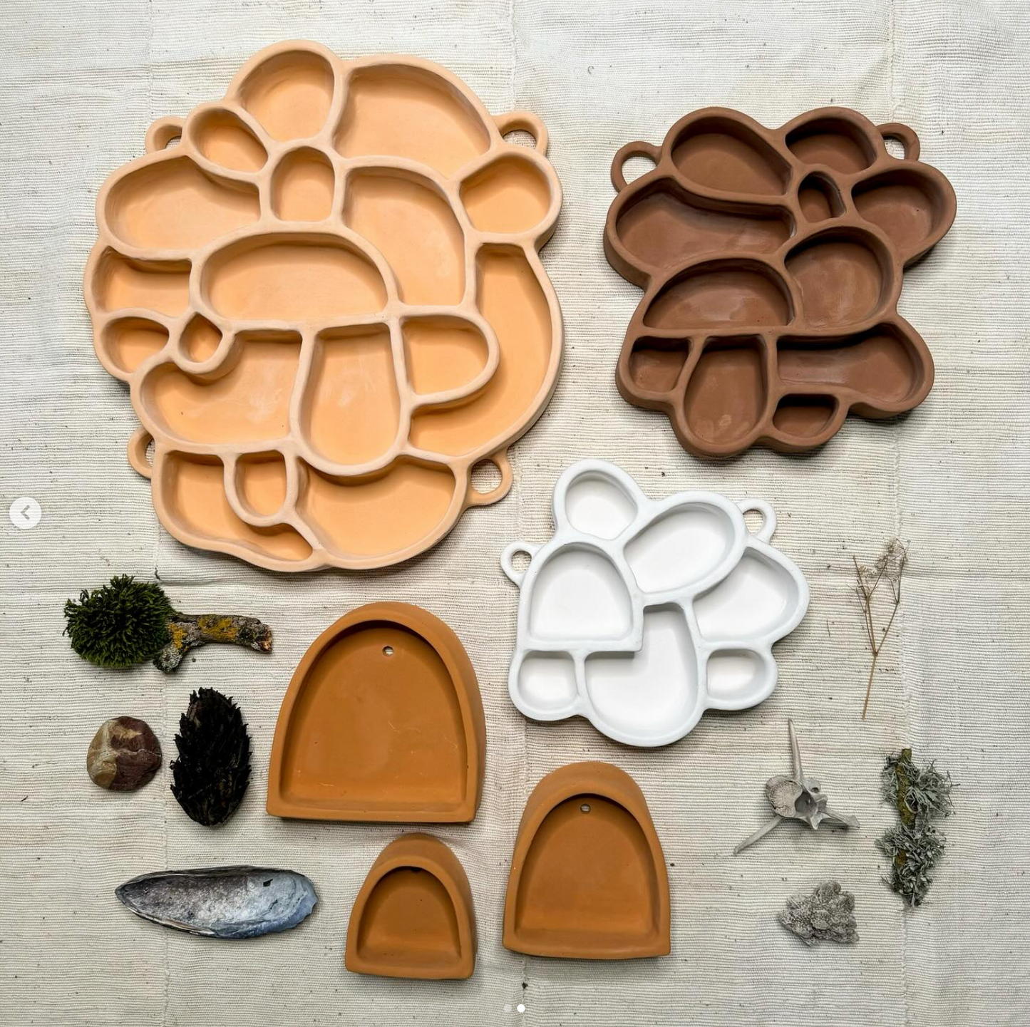 
                  
                    Shadowbox Curio Hanging Shelf
                  
                